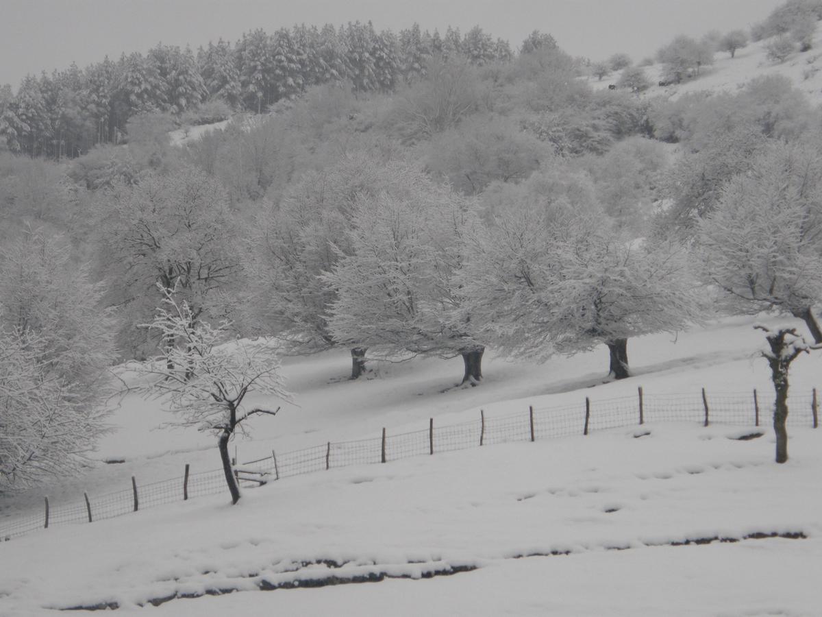 Casa Rural Alustiza Konuk evi Villabona Dış mekan fotoğraf