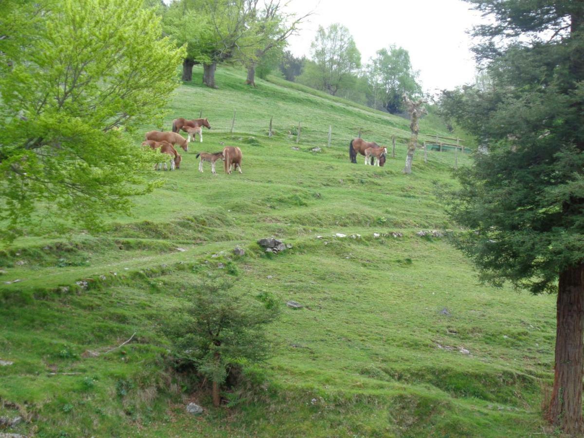 Casa Rural Alustiza Konuk evi Villabona Dış mekan fotoğraf